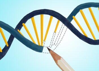 A more precise way to edit the genome