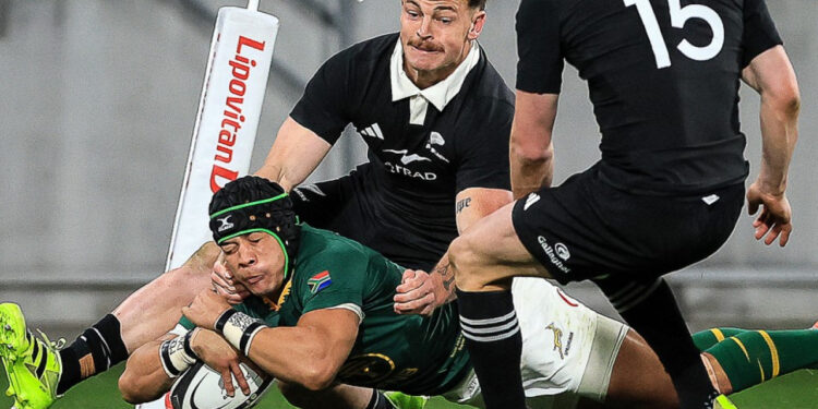 Springboks avenge All Blacks beating in record style