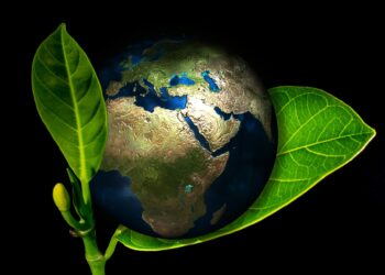 The Climate Change Paradox