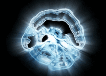 Tiny Tubes Reveal Clues to the Evolution of Complex Life