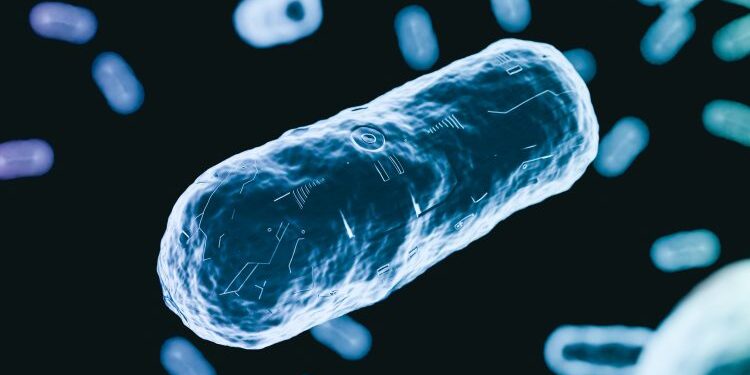 AI maps how a new antibiotic targets gut bacteria