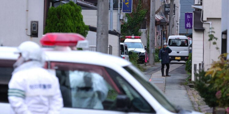 Japan bear attacks spark calls for military action