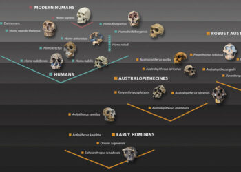 Loops of DNA Equipped Ancient Life To Become Complex