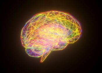 The brain power behind sustainable AI