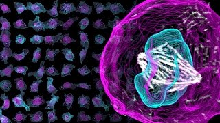 MIT researchers invent new human brain model to enable disease research, drug discovery