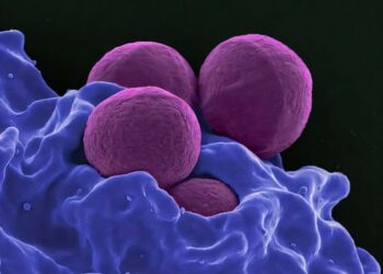 MIT scientists debut a generative AI model that could create molecules addressing hard-to-treat diseases