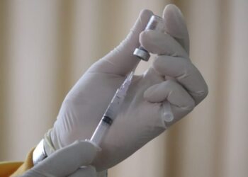 MIT study finds targets for a new tuberculosis vaccine