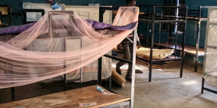 100 abducted schoolkids set free in Nigeria