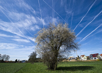 Study: More eyes on the skies will help planes reduce climate-warming contrails