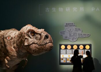 Biology-based brain model matches animals in learning, enables new discovery