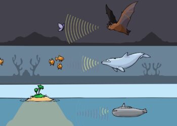 How Animals Build a Sense of Direction
