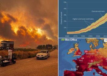New research may help scientists predict when a humid heat wave will break