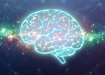 A satellite language network in the brain