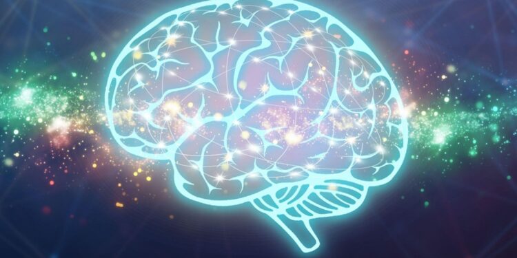 A satellite language network in the brain