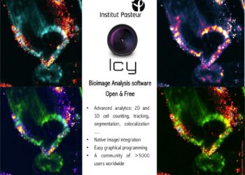 AI to help researchers see the bigger picture in cell biology