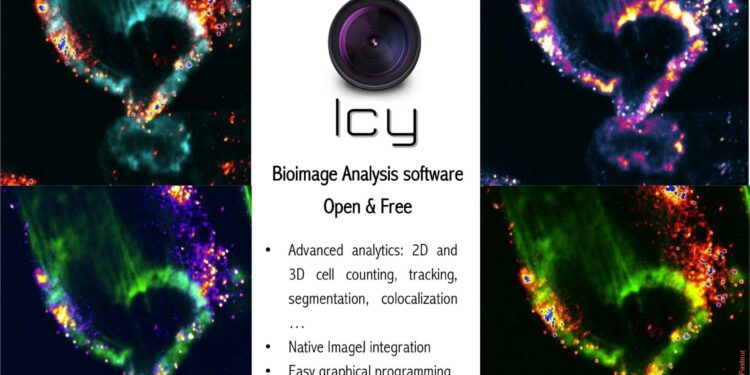 AI to help researchers see the bigger picture in cell biology