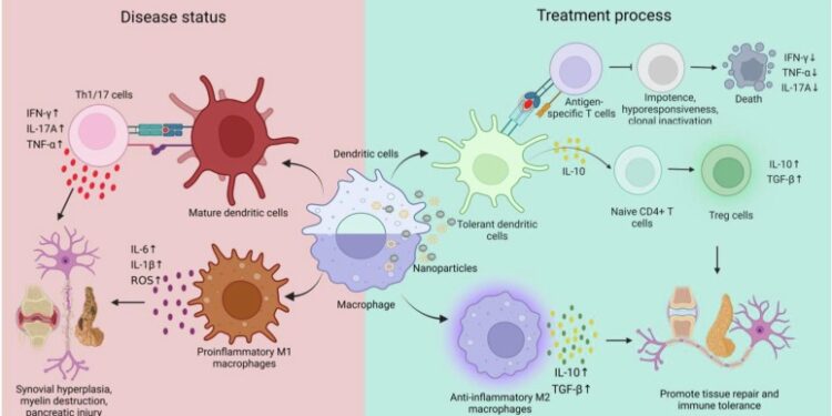 New vaccine platform promotes rare protective B cells