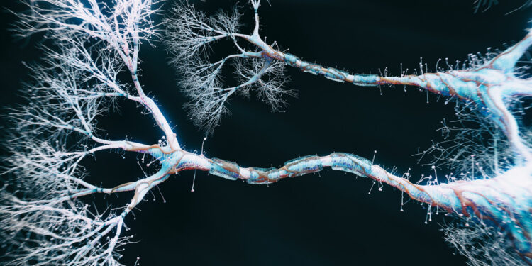 Neurons receive precisely tailored teaching signals as we learn