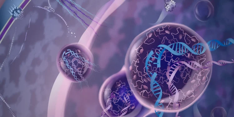New insights into a hidden process that protects cells from harmful mutations