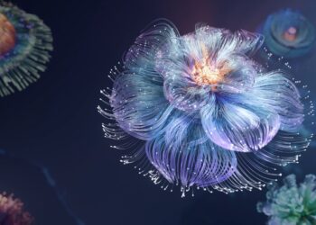 Seeds of something different
