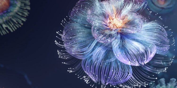 Seeds of something different