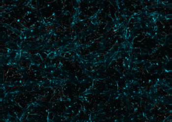 Self-organizing “pencil beam” laser could help scientists design brain-targeted therapies