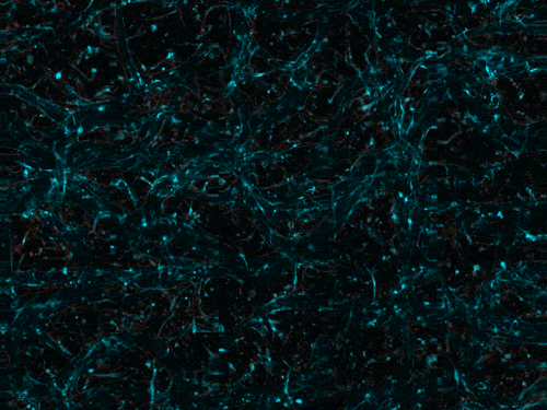Self-organizing “pencil beam” laser could help scientists design brain-targeted therapies