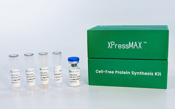 Sino Biological Launches XPressMAX™ Cell-Free Protein Synthesis Kit, Accelerating AI-Powered High-Throughput Antibody Drug Discovery