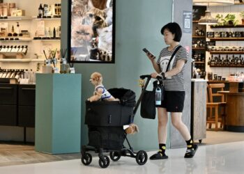 Eateries to apply for dog admission
