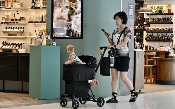 Eateries to apply for dog admission