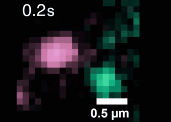 Single-molecule tracker illuminates workings of cancer-related proteins