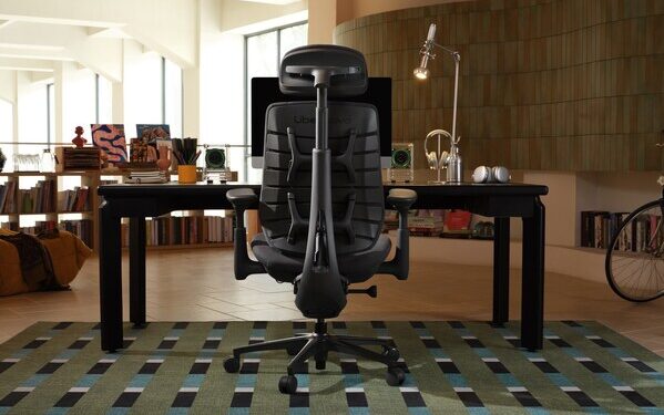 No More “Making Do” — LiberNovo Maxis Is Coming to Redefine the Ergonomic Chair Benchmark for Big & Tall Users