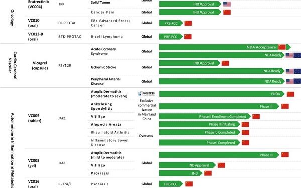 Key Milestone Achieved: NDA for Sumecigrel Capsule, an Antiplatelet Innovative Drug by Vcare PharmaTech, Officially Accepted