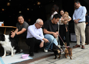 Dog-friendly dining policy rolled out