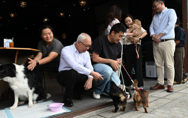 Dog-friendly dining policy rolled out