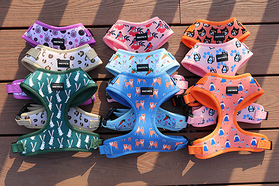Dog Harness Manufacturer OKEYPETS Launches Neoprene and Air-Mesh Harness Collections for Global Pet Brands