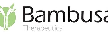Bambusa Therapeutics Appoints Howard Liang, Ph.D. to its Board of Directors and Establishes Scientific Advisory Board