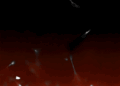 MIT engineers find a precise way to grow artificial blood vessels