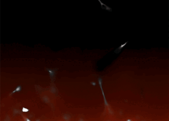 MIT engineers find a precise way to grow artificial blood vessels