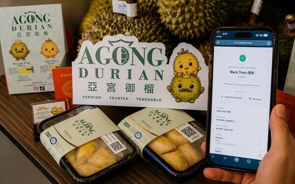[Official Launch] AGONG Durian Uses Blockchain to Authenticate Every Musang King