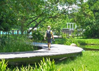 Free admission on Ecology Day