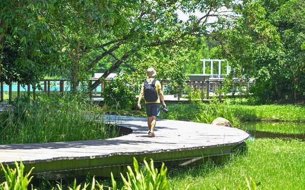 Free admission on Ecology Day