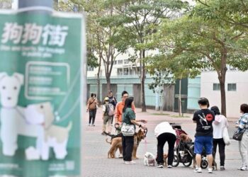 3 off-leash dog cases detected