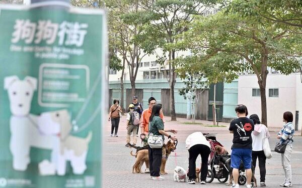 3 off-leash dog cases detected