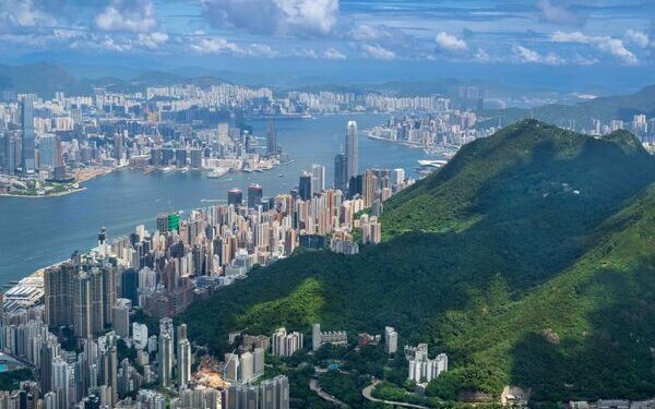 CE takes calls on policy vision