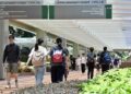 University direct admissions to open